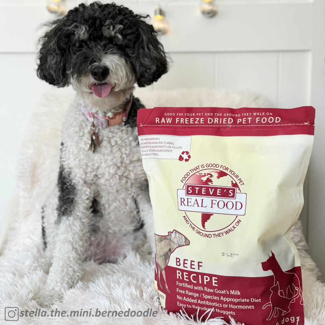 Steve's Real Food Knoxville, TN Agri Feed Pet Supply