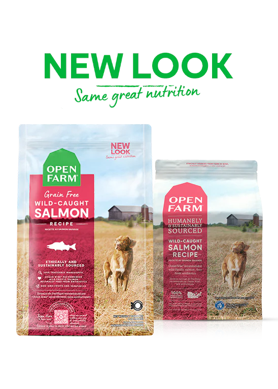 Open Farm Wild-Caught Salmon Grain-Free Dry Dog Food Knoxville