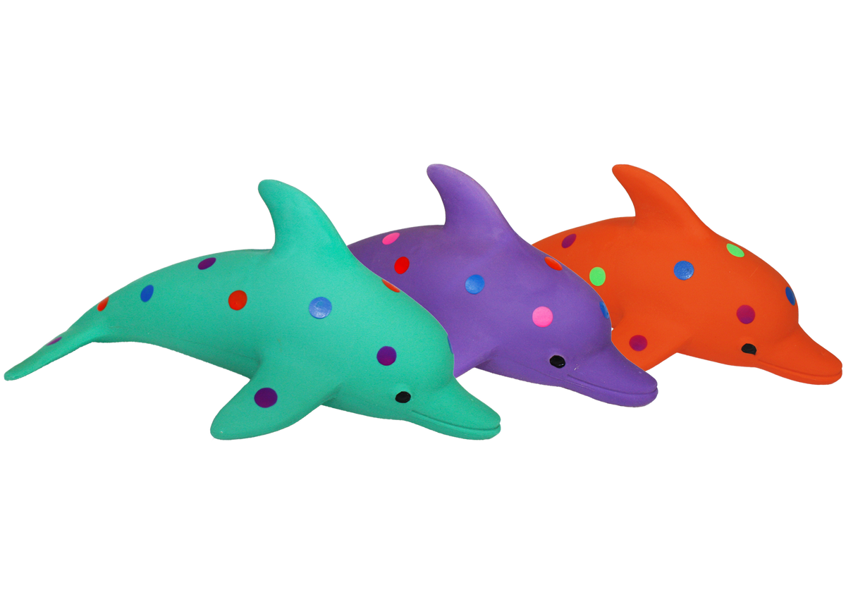 Waylon-the-Dolphin-