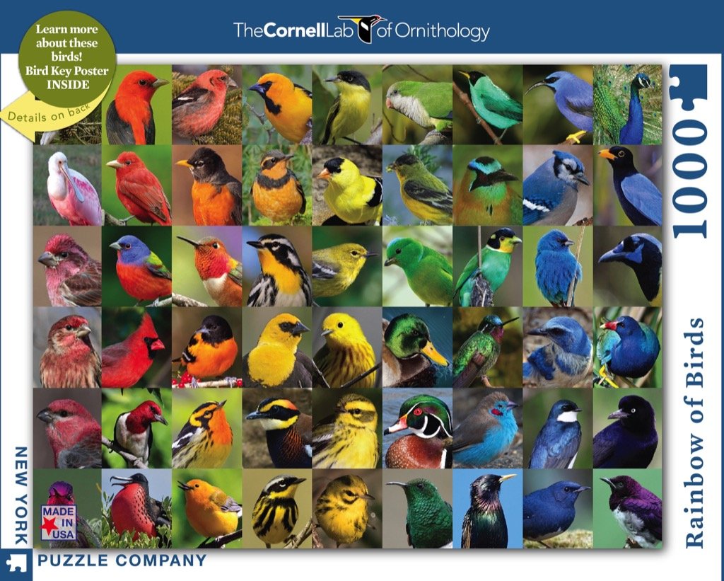 Rainbow of Birds Puzzle - Knoxville, TN - Agri Feed Pet Supply
