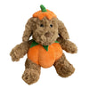 12 Pumpkin Dog Dog Toy