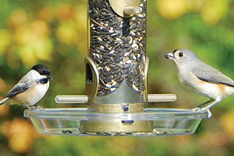 Aspect Round Seed Tray (8.5″ Diameter)