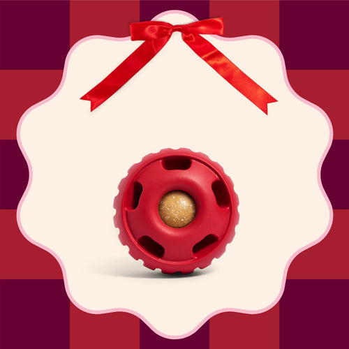 Woof Pupsicle Dog Toy - Jolly, Small