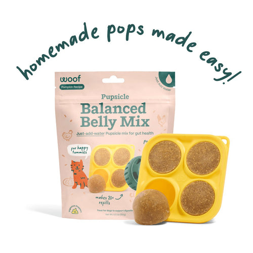 Woof Balanced Belly Pupsicle Mix