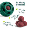 Woof Allergy & Immunity Pops - manufacturer gallery image 2