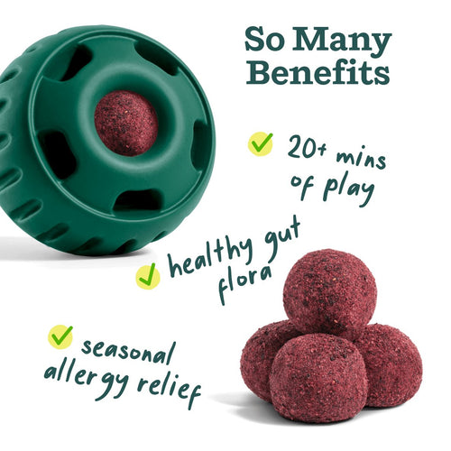 Woof Allergy & Immunity Pops - manufacturer gallery image 2