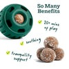 Woof Calming Wellness Pops - manufacturer gallery image 2