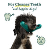 Woof Bite n' Brush Dental Dog Toy - manufacturer gallery image 3