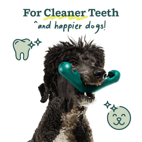 Woof Bite n' Brush Dental Dog Toy - manufacturer gallery image 3