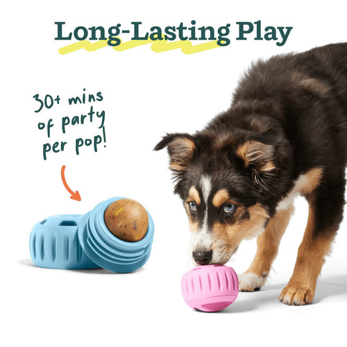 Woof Birthday Pops - manufacturer gallery image 4
