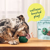Woof Allergy & Immunity Pops - manufacturer gallery image 5
