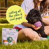 Woof Calming Wellness Pops - manufacturer gallery image 5