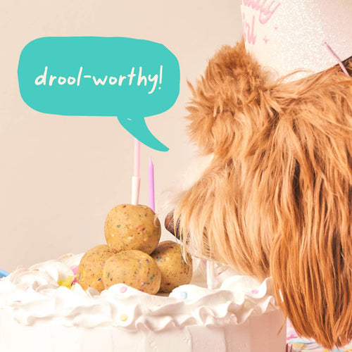 Woof Birthday Pops - manufacturer gallery image 5