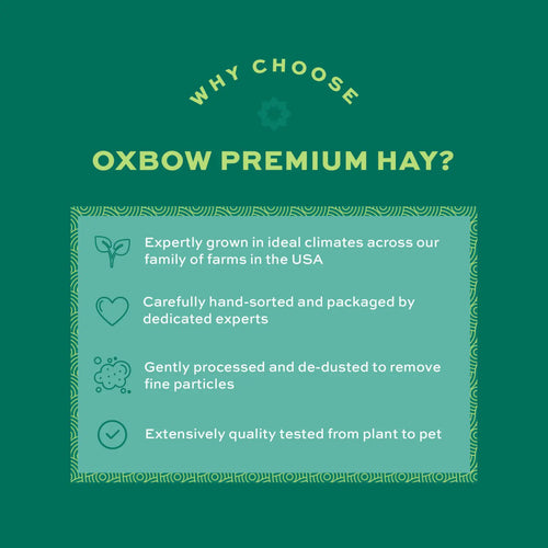 Oxbow Foraging Hay Blend Teff & Western Timothy Hay 40oz