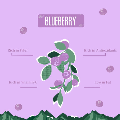 Yak-9 Blueberry Cheese Chews for Dogs - Small 1 piece (4oz)