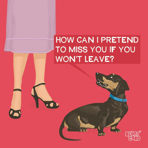 Mike Bell | How Can I Beverage Napkins