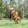 Chuckit! EcoFetch Sport Launcher - 18M