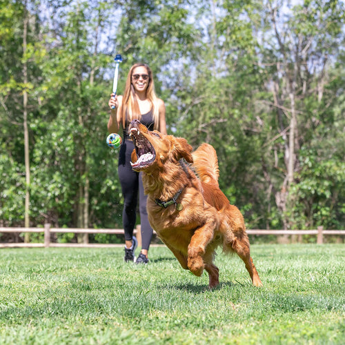 Chuckit! EcoFetch Sport Launcher - 18M