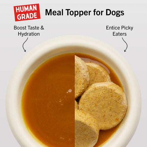 Bountiful Bone Broth Grass-Fed Beef Recipe for Dogs - 16oz