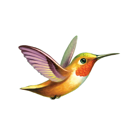 Assorted Fake Tattoo - 2 Pack