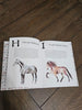 ABC Horse Breeds Book by Darlene Ivey
