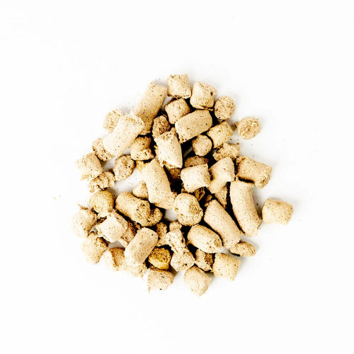 Green Juju Salmon Blue Whole Food Bites Freeze-Dried Treat / Topper - 18oz