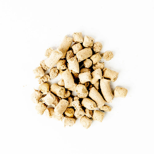 Green Juju Salmon Blue Whole Food Bites Freeze-Dried Treat / Topper - 3oz