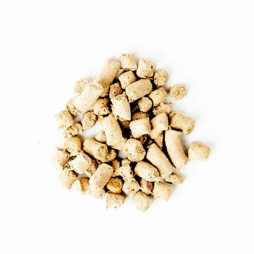 Green Juju Salmon Blue Whole Food Bites Freeze-Dried Treat / Topper - 7.5oz