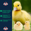 KALMBACH FEEDS 20% Flock Maker® PELLET - 50LB