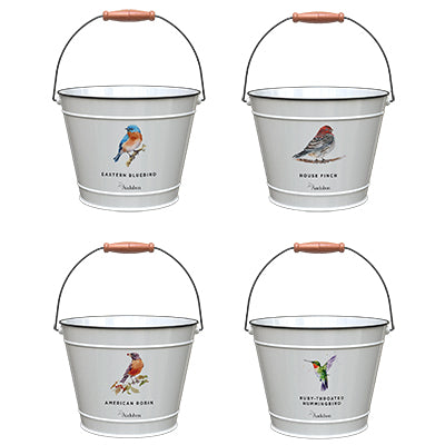 10 Audubon Native Plants Bucket Planter