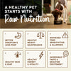 Primal Pet Foods Frozen Raw Beef Patties for Dogs - Bulk 18lb Box