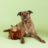 Little Ladybug Sloth Plush Dog Toy