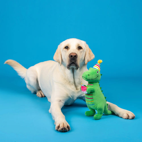 I'm How Old? Rex Plush Dog Toy