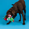 To The Rex-Cue! Plush Dog Toy