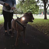 Coastal USB Blinker Light