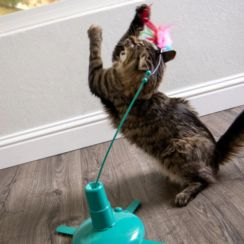 Loco Motion Electronic Motion Teaser Wand Cat Toy, Battery Powered