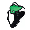 Inspire Adjustable Dog Harness with Handle - Medium