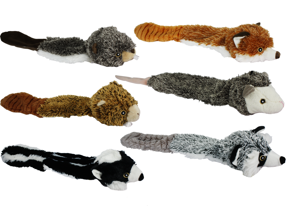 Bouncy Burrow Buddies Knoxville, TN Agri Feed Pet Supply