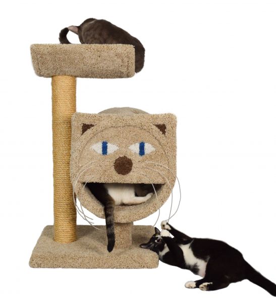 Molly and friends deals cat towers