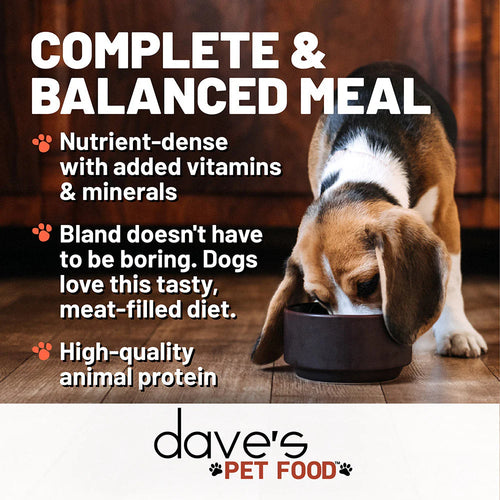 Dave's Pet Food Chicken and Rice Restricted Diet Bland for Dogs - 22oz