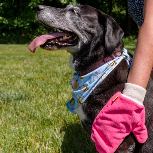 TiCK MiTT TICK REMOVAL GLOVE
