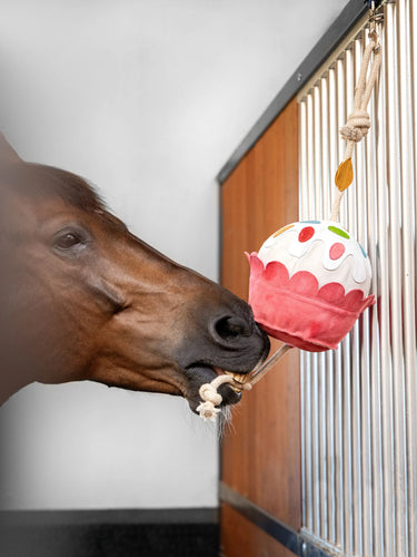 HORSE TOY CUPCAKE