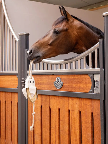 Horse Toy Banana