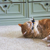Turbo by Coastal Unicorn Whimsy Cat Toy