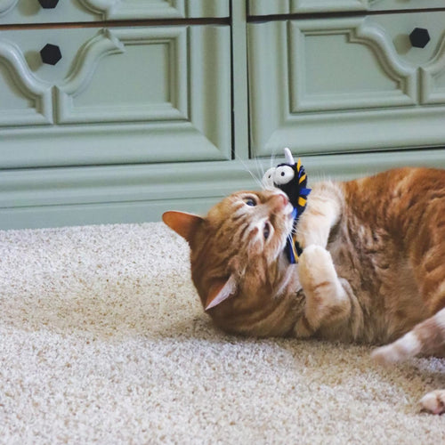 Turbo by Coastal Unicorn Whimsy Cat Toy