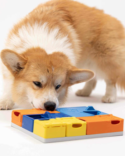 PAWZLER RAINBOW SET PUZZLE