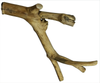 Extra Small Java Wood Multi-Branch Perch