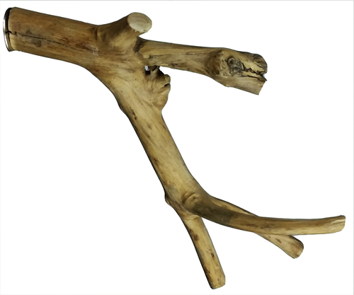 Extra Small Java Wood Multi-Branch Perch
