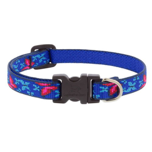 Lupine 13-22, 3/4 width Dog Collar - Social Butterfly