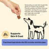 Plato Pet Treats Wellness Chews Skin & Allergy - 16oz